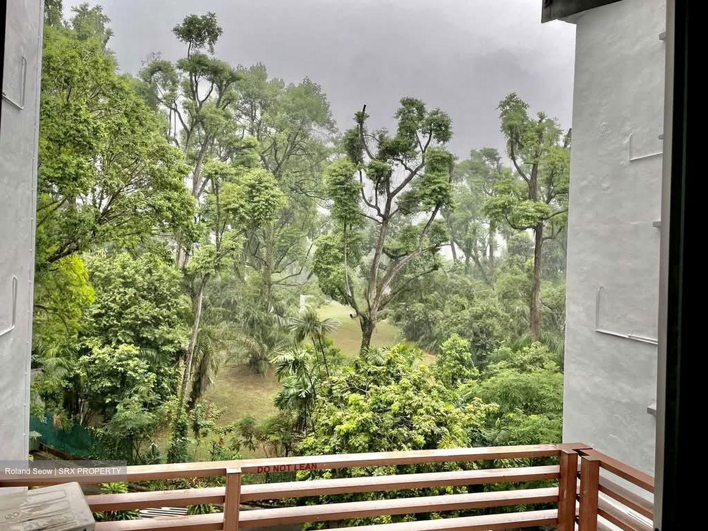 Botanic Gardens Mansion (D10), Apartment #586653341